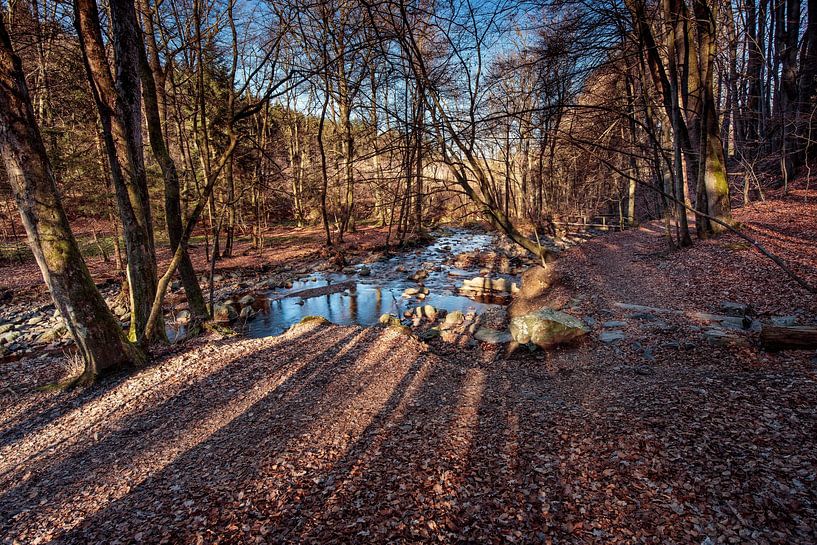 Mountain river La Hoëgne in the Ardennes by Rob Boon