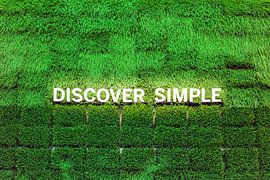 Discover Simple by Evert Jan Luchies