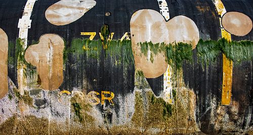 Kustlandschap kunst kust kust