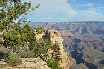Grand Canyon Verenigde Staten. Arizona. van Marije van dijk