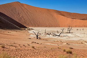 Le Deadvlei en Namibie