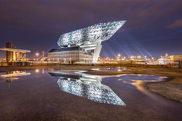 Port House Antwerp at night reflected in a pond by Tony Vingerhoets