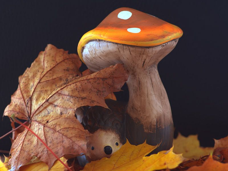 HERFSTDECORATIE van Photoart-Naegele