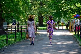 Geflohen aus den Fünfzigern von Frank's Awesome Travels