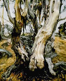 Australia's landscape near the coast