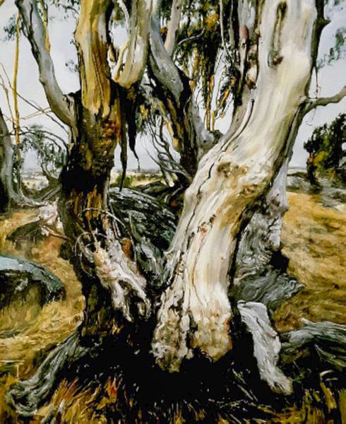 Australiens Landschaft an der Küste von KB Prints