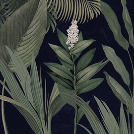 Dramatischer Tropical I Licht, Sue Schlabach von Wild Apple