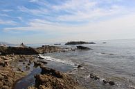 Ocean view by Shannen van den Tempel thumbnail