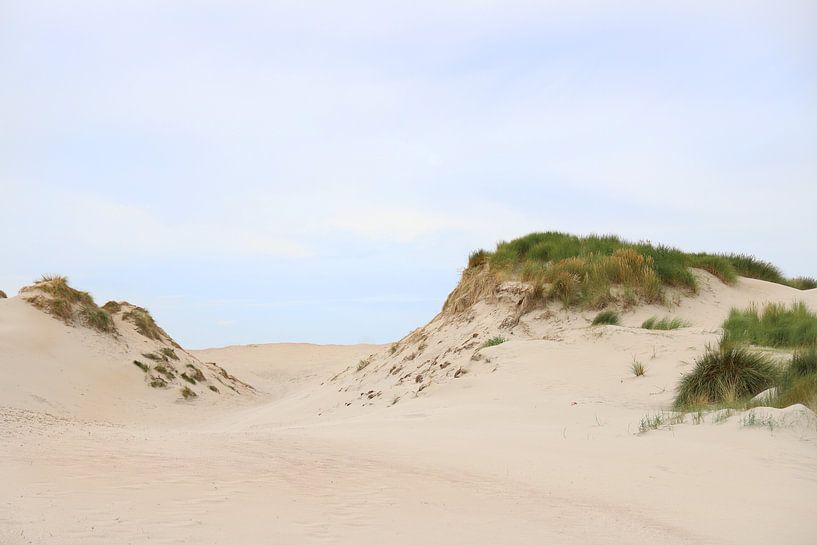 Rustgevende Duinen van Valerie de Bliek