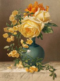 William Duffield – Marchal-Niel-Rosen (1883) Botanischer Blumendruck von Timeless Artworks