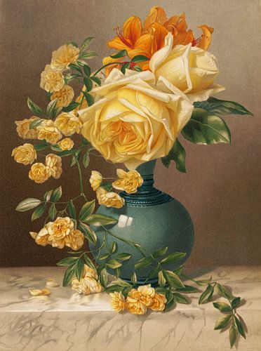 William Duffield – Roses « Marchal Niel » (1883) Gravure botanique florale
