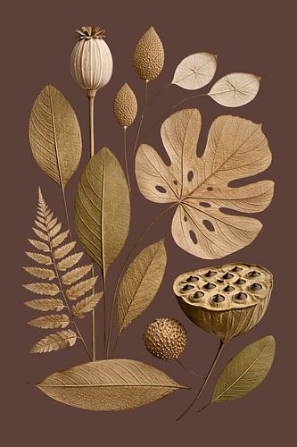 Botanische gouden elegantie Gedroogde natuur