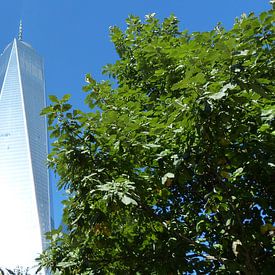 One World Trade Center  by Josina Leenaerts