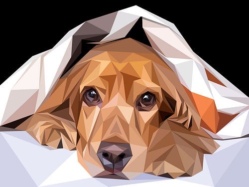 Bruine hond onder deken Low Poly