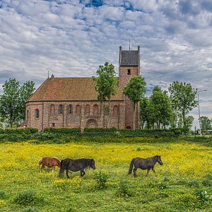 Die Kirche von Hantumerhuizen in Friesland mit einem Feld voller Butterblumen im Vordergrund