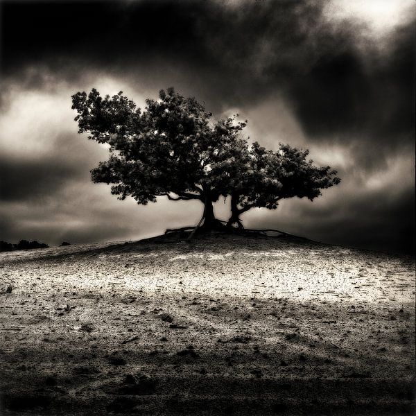 severe weather by Jan Brand