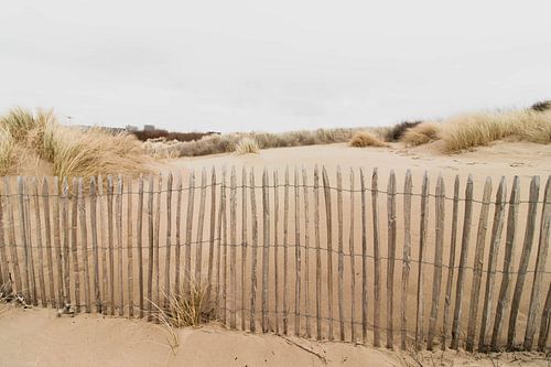 Dunes in the Westduinpark in Scheveningen