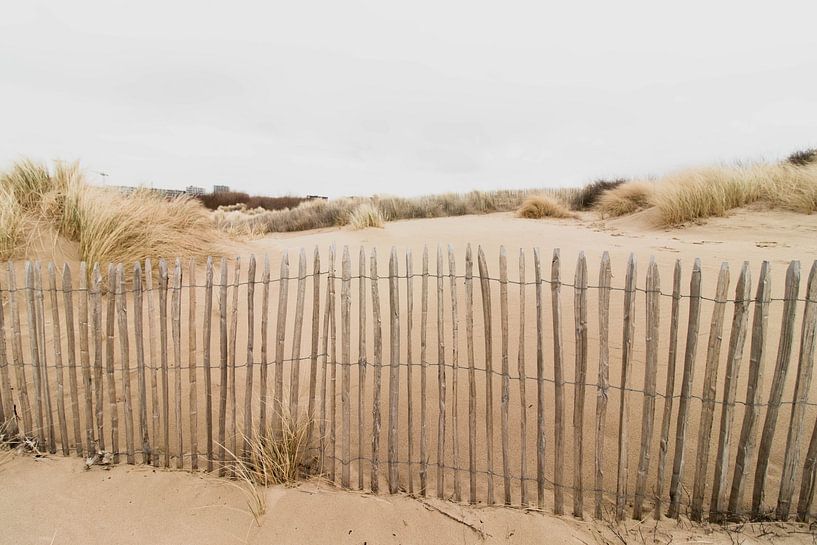 Dünen im Westduinpark in Scheveningen von Anne Zwagers