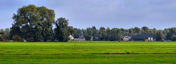 Boerenlandschap von Leo Huijzer