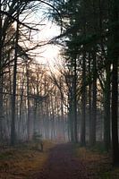 Winter and nature