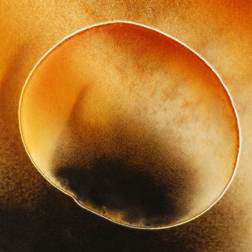 ECHO AQUA PETAL 966 - Impression aquarelle florale abstraite à l'éclat d'ambre