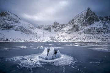 Fjorde Lofoten von Peter Poppe
