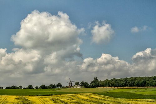 Korenmolen op de Vrouwenheide