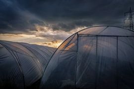 searching utopia von Mario van Middendorf