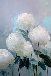 Hortensie