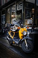 Quiet moments in the city: Cat on a scooter in a nostalgic alleyway idyll