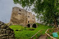 Wonderful castle ruin and park at the Rennsteig/Thuringian Forest by Oliver Hlavaty thumbnail