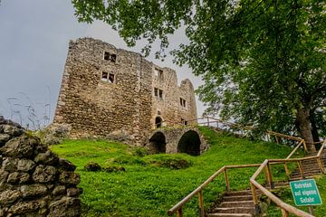 Magnifiques ruines de château et parc sur le Rennsteig/Forêt de Thuringe sur Oliver Hlavaty