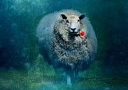 A sheep in love van Anne Seltmann thumbnail