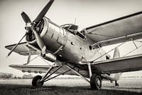 antonov an2