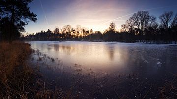 Winterse zonsopgang op de Veluwe van Gerhard Niezen Photography