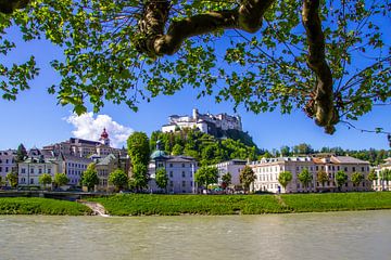 Spring window to Hohensalzburg Fortress by Christa Kramer