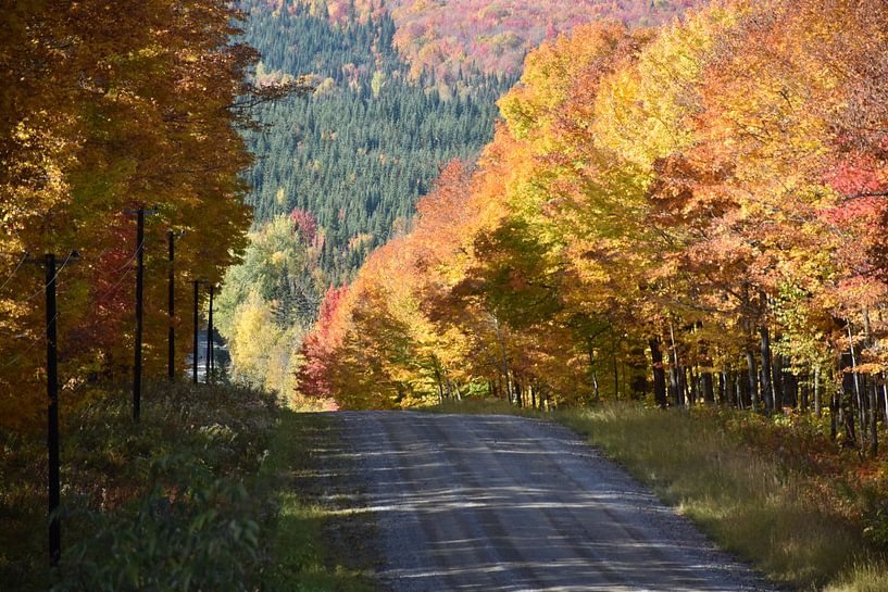 A country road in autumn by Claude Laprise