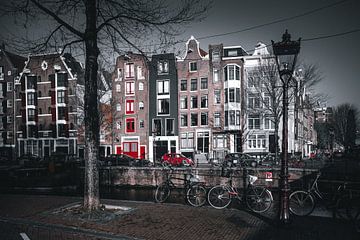 Amsterdam aux Pays-Bas n'est pas seulement noir et blanc