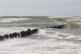 Pole in der Ostsee von Yolande Mulder