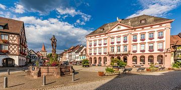 Marktbrunnen und Rathaus in Gengenbach im Schwarzwald von Werner Dieterich