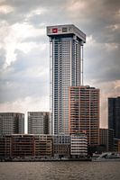 Zalmhaventoren in aanbouw
