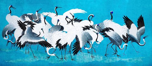 Aziatische kraanvogels in blauw cyaan