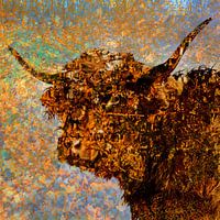 Schotse hooglander in kleur
