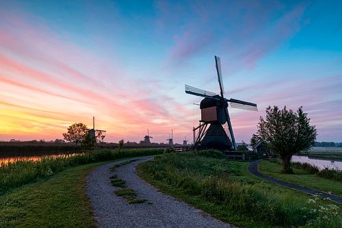 Museummolen Kinderdijk