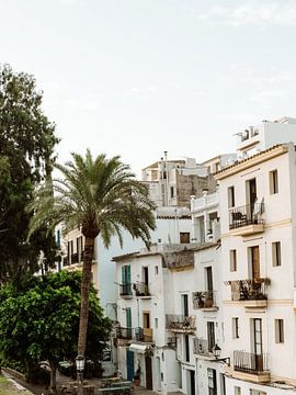 Ibiza | De huizen van Ibiza, Spanje van Amber Francis
