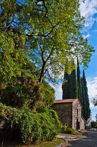 The early Christian Byzantine church against the backdrop of greenery and high cypress trees on the 