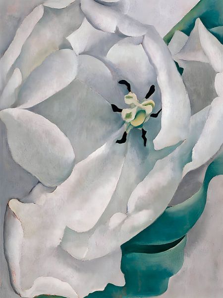 Georgia OKeeffe - White Flower, 1932 by Vivanne