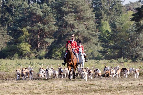 Sfeerfoto van slipjacht