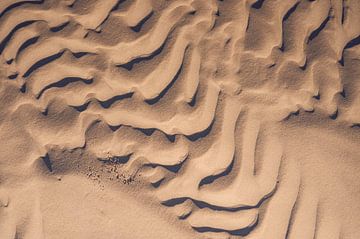 Zandpatronen op het strand door de wind die over het zand blaast