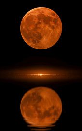 Moonlight on the Sea by Jennifer Eder